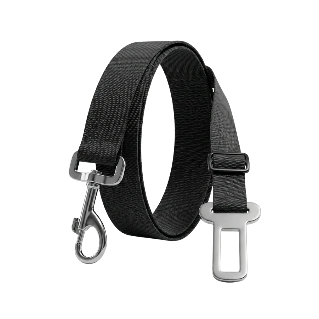 Safety Travel Buckle